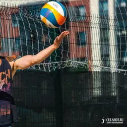 Дмитрий Багно